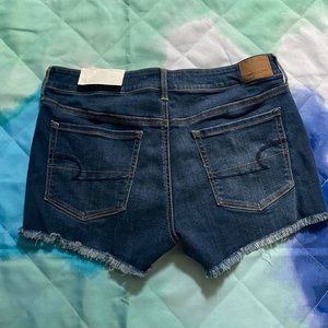 American Eagle, Dark Wash Shorts, Size 12